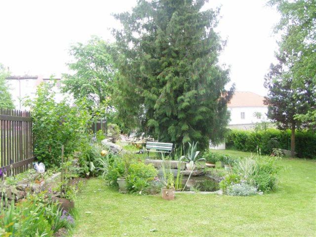 Penzion U Pesku Horní Planá Exterior foto